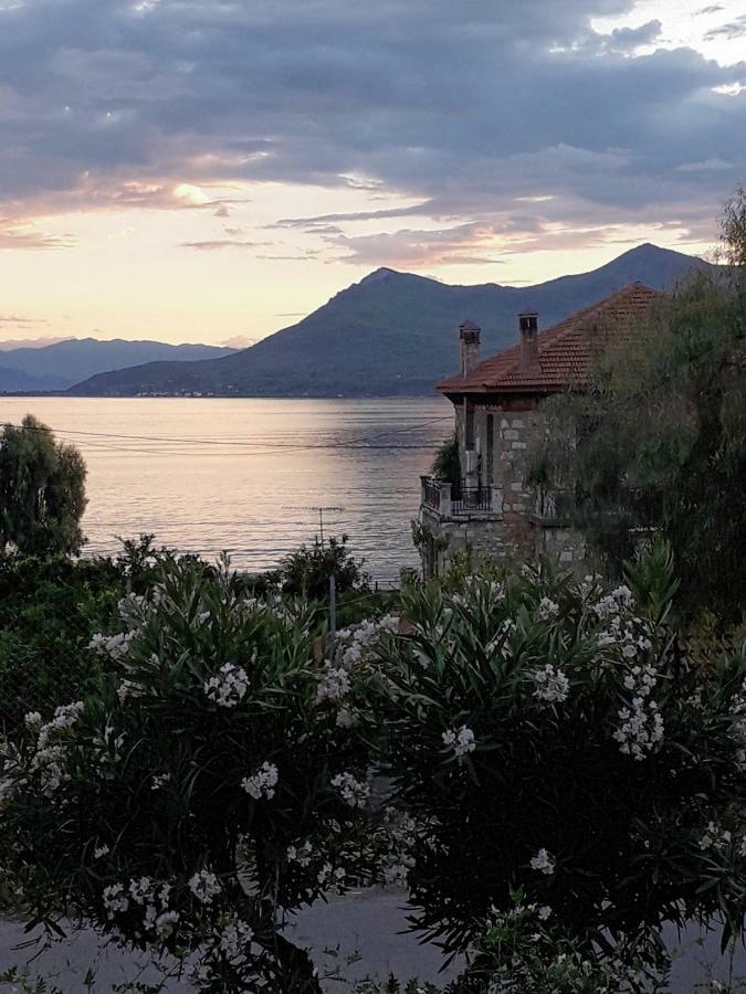 Soile Georgia Daire Loutra Edipsou  Dış mekan fotoğraf