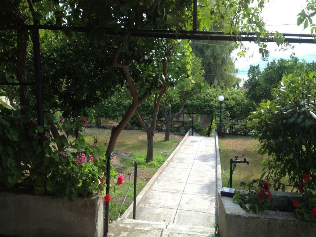 Soile Georgia Daire Loutra Edipsou  Dış mekan fotoğraf